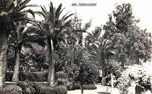 Ain temouchent 044